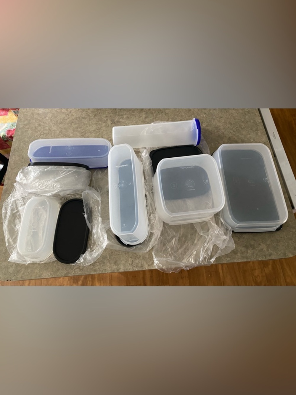 Tupperware Food Storage Containers (Modular Mates) (7)